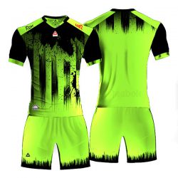 Reebok 2022 Teams Shirts green