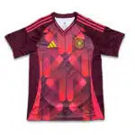 Germany Goalkeeper Kit 2024 Havadar Red